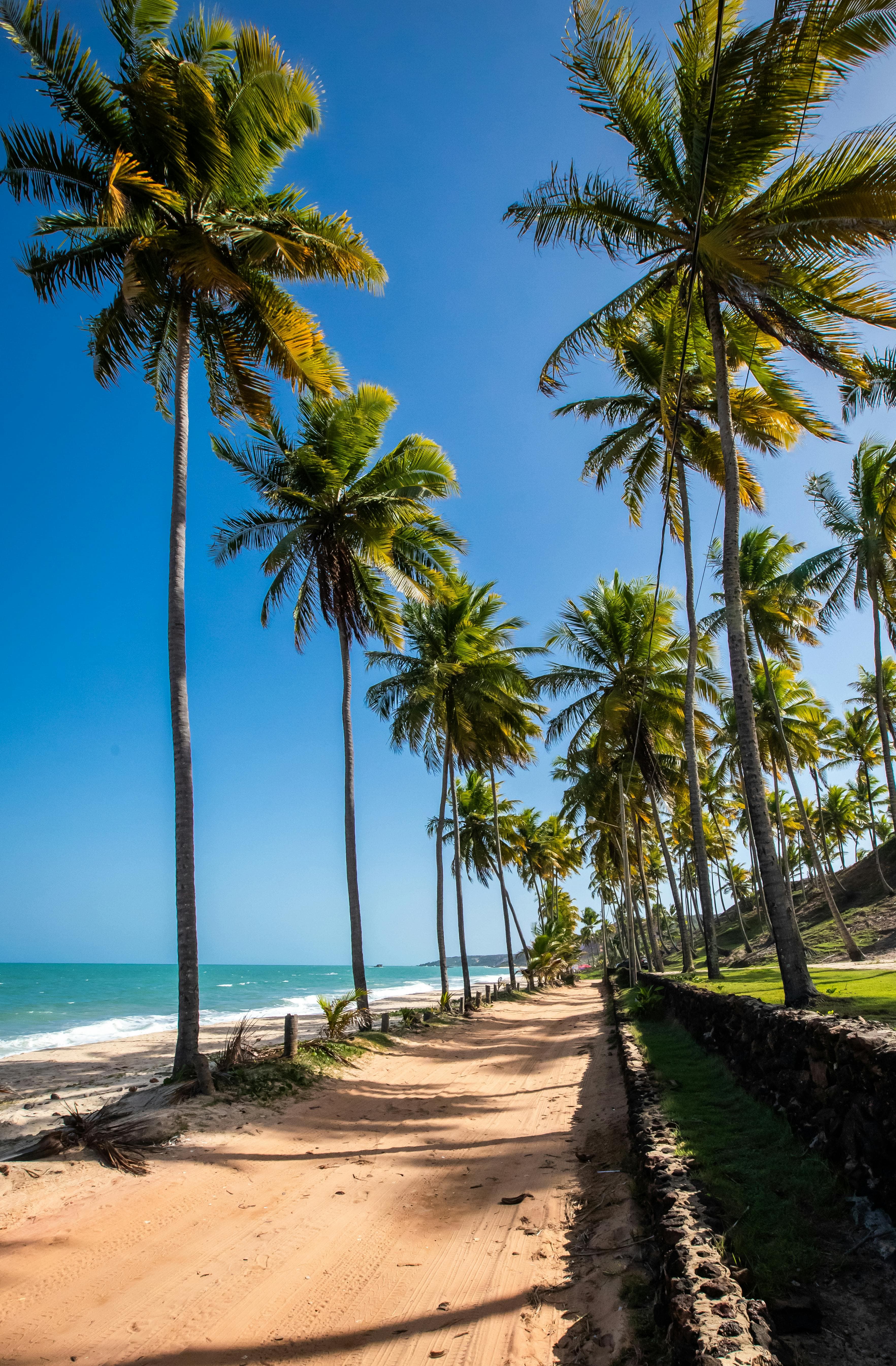 Ecoturismo e aventuras em Paraíba - EcoRoteiros